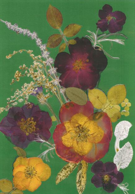 Bouquet de roses - Nicole Bourgait