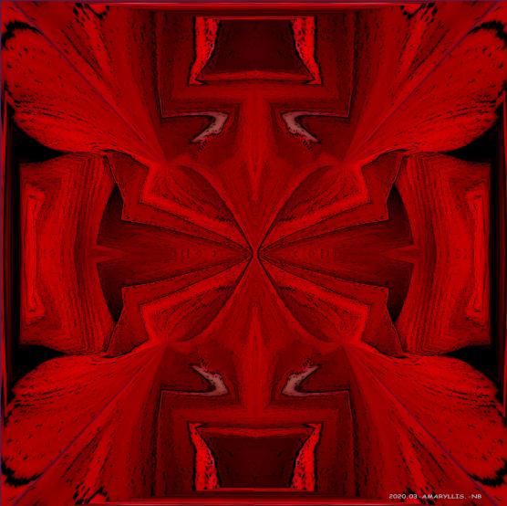 Rouge Amaryllis - Nicole Bourgait
