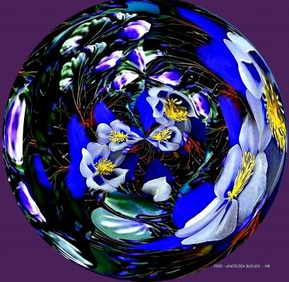 Ancolies - Nicole Bourgait