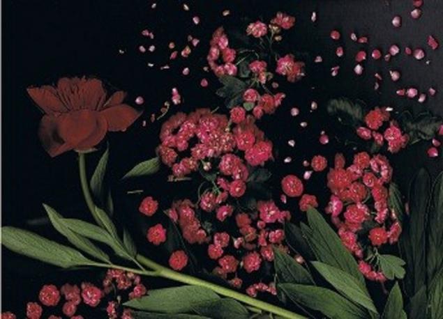 Aubepine Rouge - Nicole Bourgait - Click to enlarge