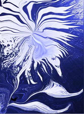 Dragon des airs - Nicole Bourgait