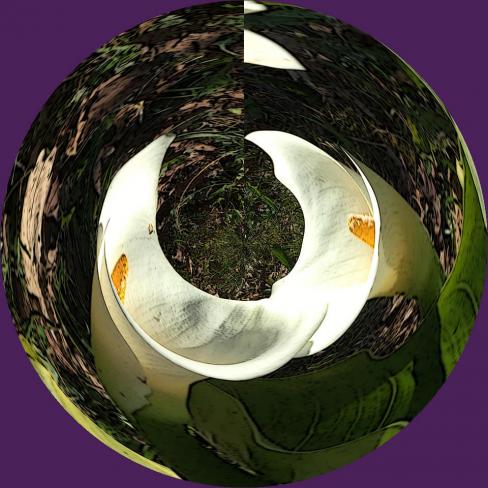 Vert nature - Nicole Bourgait