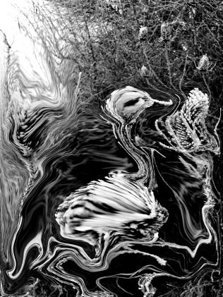 Oiseau au nid - Nicole Bourgait