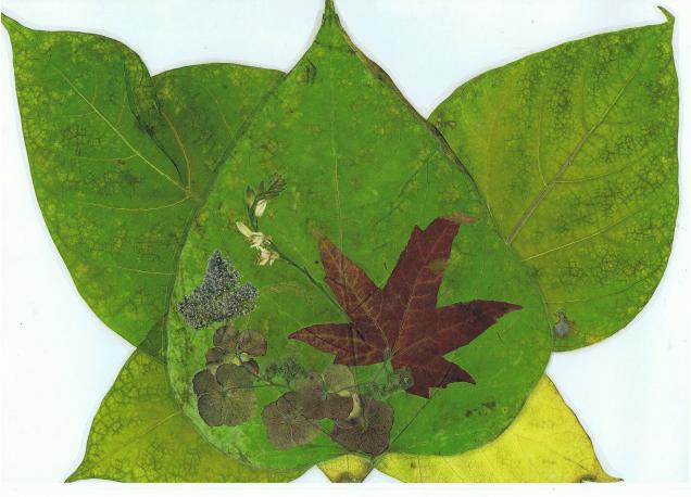 Catalpa - Nicole Bourgait - Cliquer pour afficher en grand