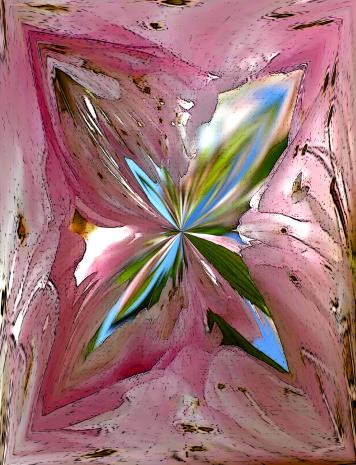 Eclosion - Nicole Bourgait