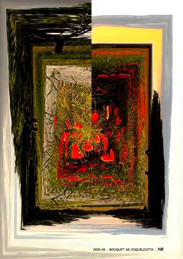 Rte des coquelicots - Nicole Bourgait