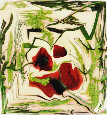 les coquelicots - Nicole Bourgait