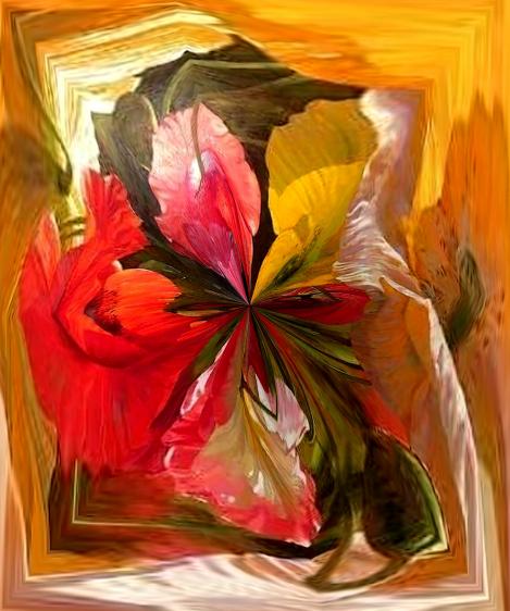 Transparence - Nicole Bourgait