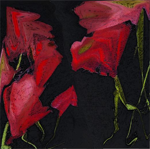 Coquelicots duo - Nicole Bourgait