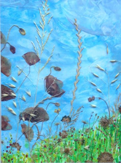Coquelicots - Nicole Bourgait