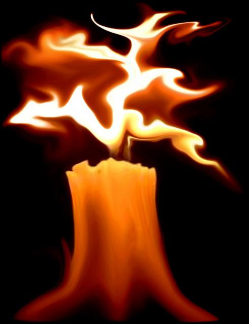 Danse du Feu - Nicole Bourgait