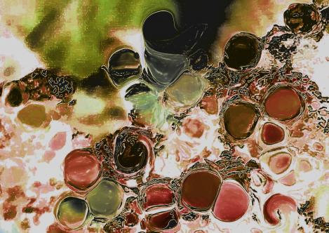 Lichens lunaires - Nicole Bourgait