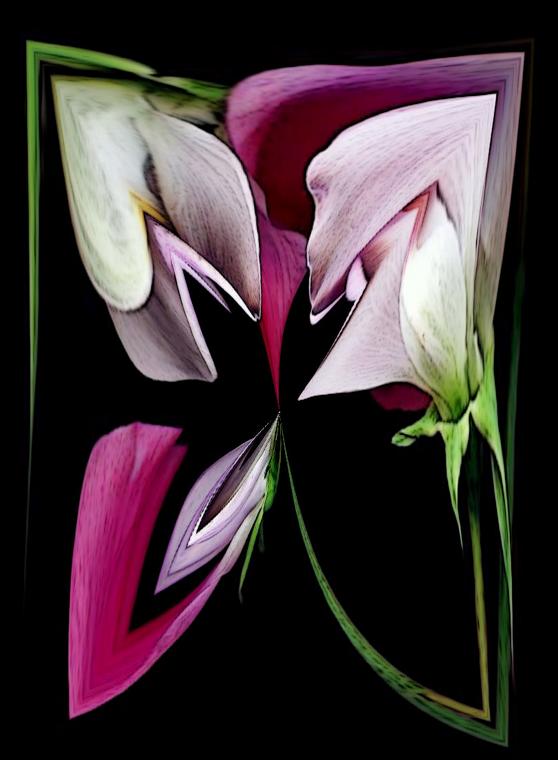 Senteurs - Nicole Bourgait