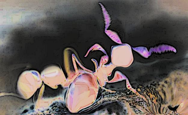 -Fourmie rose - Nicole Bourgait - Click to enlarge