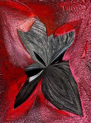 Fragments - Nicole Bourgait