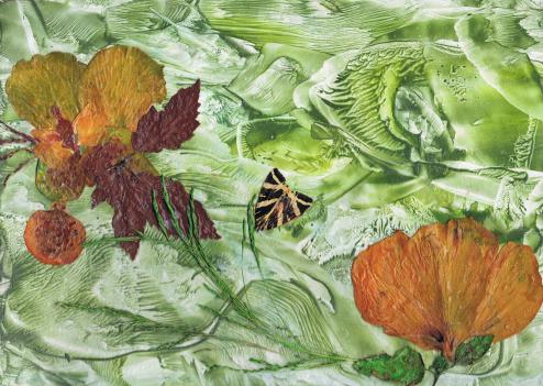 Hibiscus - Nicole Bourgait