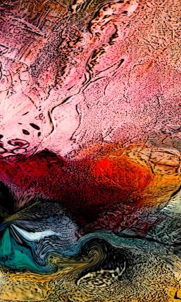 cave rose - Nicole Bourgait