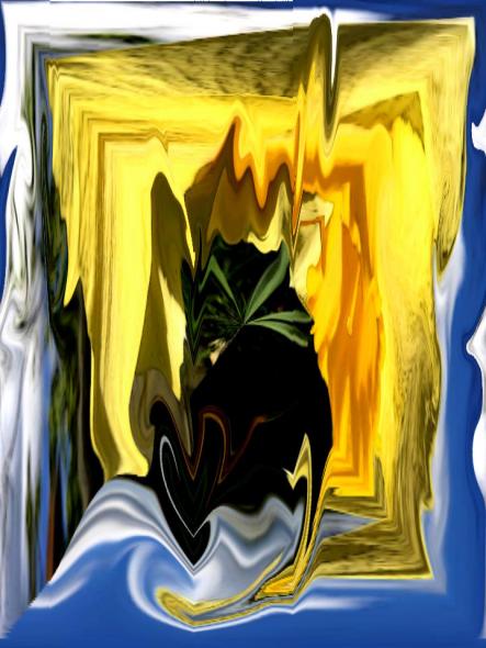 Ombre - Nicole Bourgait