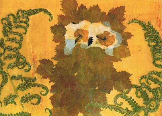 La Chouette - Nicole Bourgait