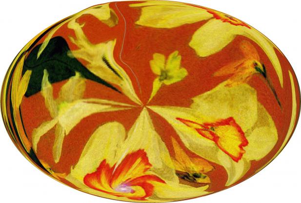 Lentille jaune - Nicole Bourgait - Cliquer pour afficher en grand