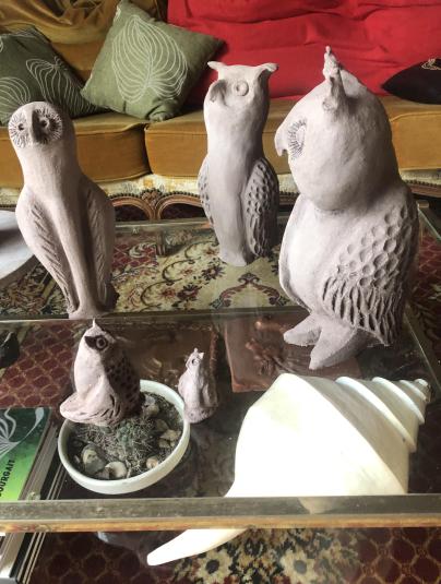 Les chouettes - Nicole Bourgait