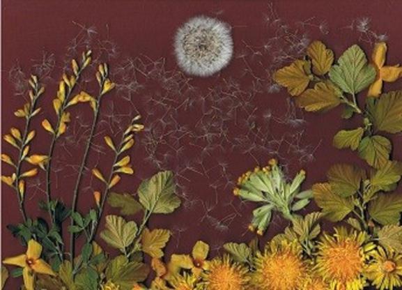 Lune Pleine - Nicole Bourgait - Cliquer pour afficher en grand