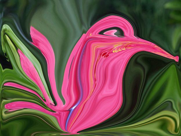 Oiseau Rose - Nicole Bourgait - Click to enlarge