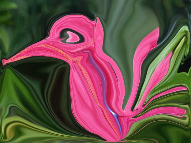 Oiseau Rose - Nicole Bourgait - Click to enlarge
