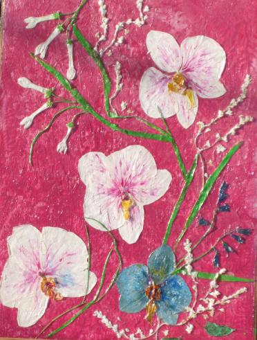 Orchi.blanche - Nicole Bourgait