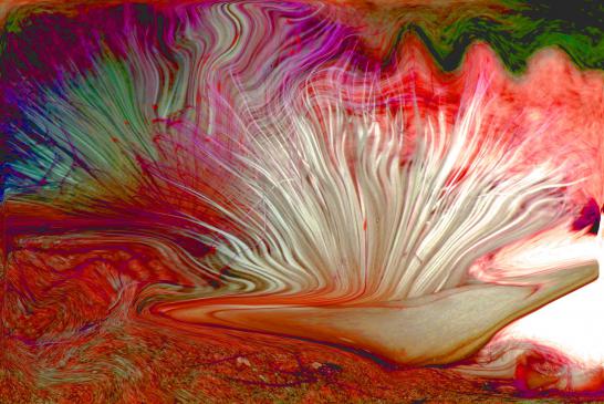 Palette - Nicole Bourgait