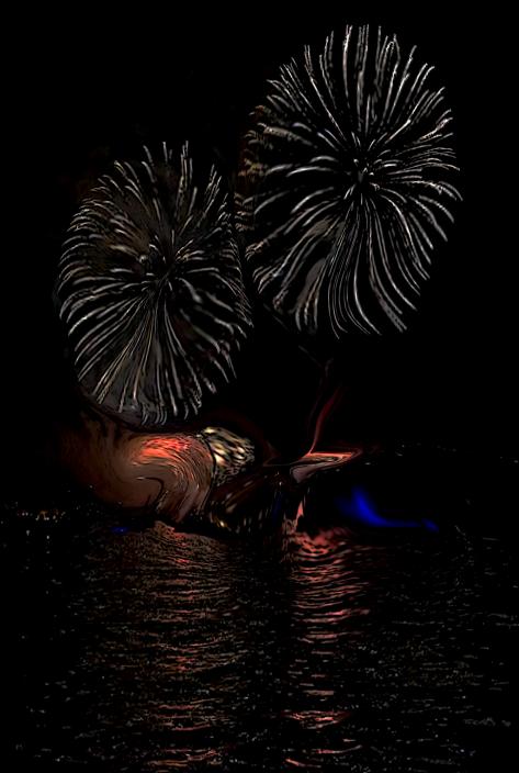 Feu artifice - Nicole Bourgait