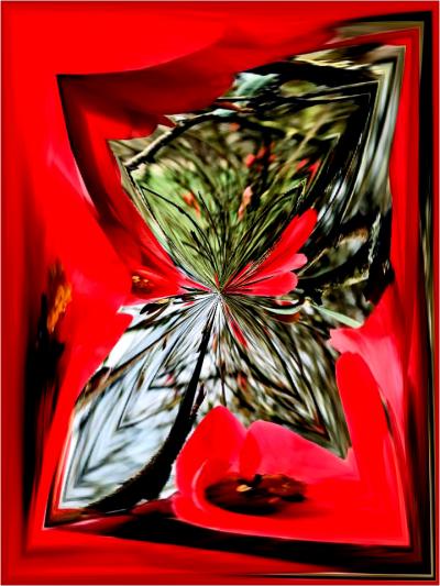 Fragments - Nicole Bourgait