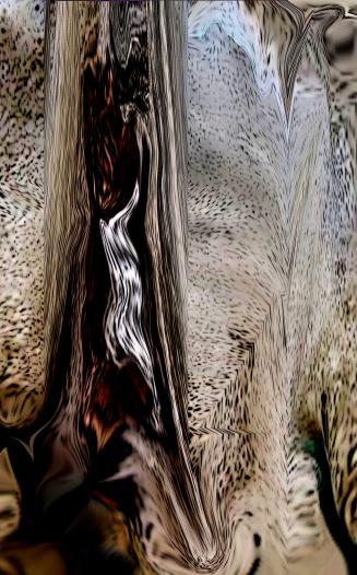 Tronc d'arbre - Nicole Bourgait
