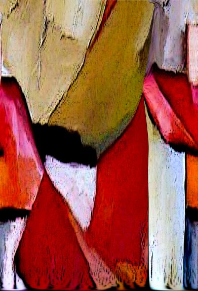 Rouge et blanc - Nicole Bourgait