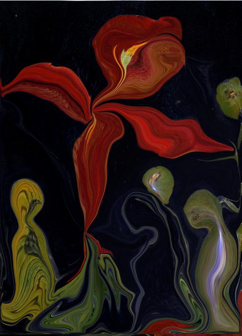 Tulipe de Carême - Nicole Bourgait