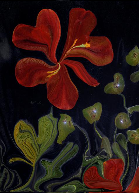 Tulipe ST Valentin - Nicole Bourgait