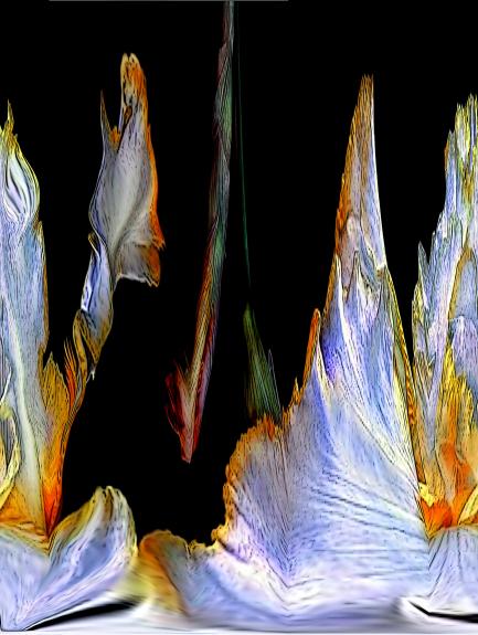 Voiles - Nicole Bourgait