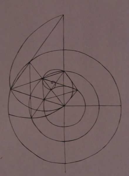 studies on the golden section - Francisco Flores