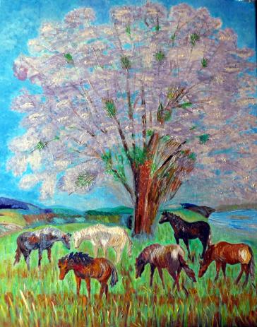 Spring and Horses - Vicky Tarcau