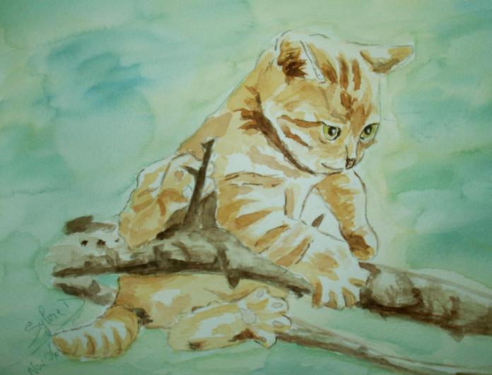 animaux : chaton - Sylvaine Pernice - Cliquer pour afficher en grand
