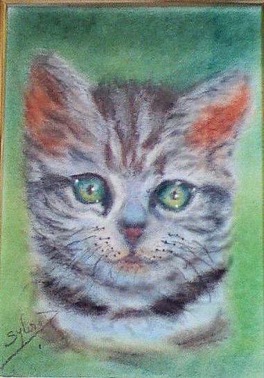 chaton - Sylvaine Pernice