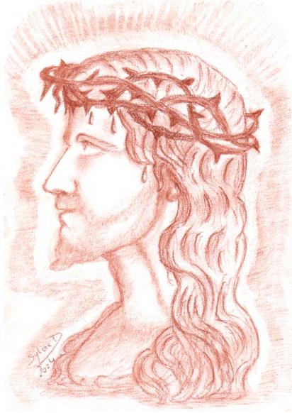 le Christ : croire malgré la souffrance - Sylvaine Pernice