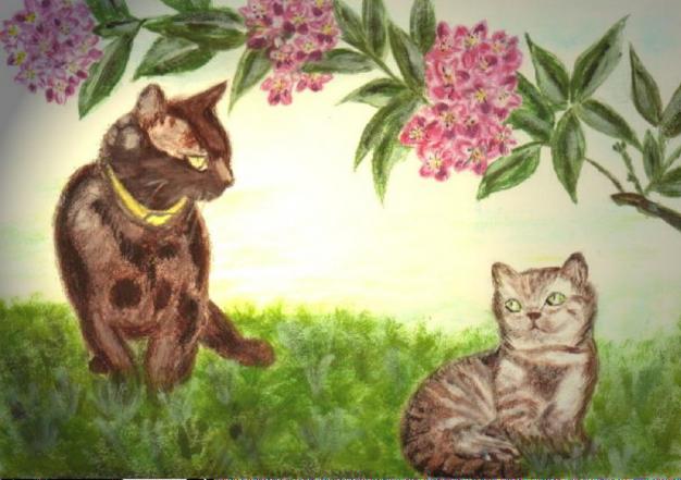 chats : complicité - Sylvaine Pernice - Click to enlarge