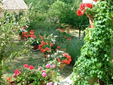 jardin : mon petit paradis1 - Sylvaine Pernice