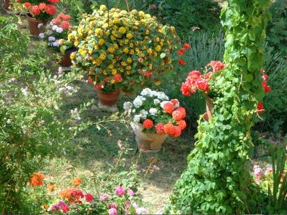 jardin : mon petit paradis2 - Sylvaine Pernice