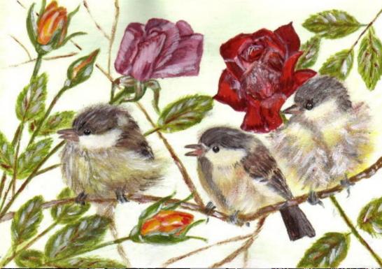 oiseaux : l'attente - Sylvaine Pernice