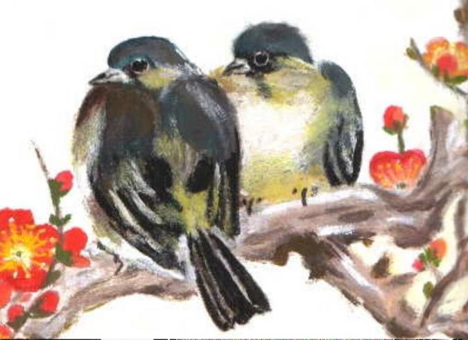 oiseaux : regard - Sylvaine Pernice - Cliquer pour afficher en grand