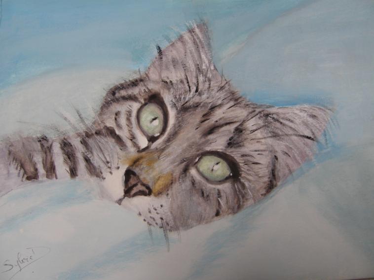 animaux : chaton - que c'est bon la sieste - Sylvaine Pernice - Click to enlarge