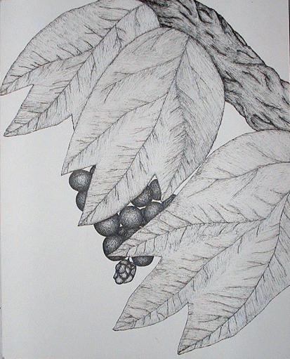 Heart 5 - Jen Burdess