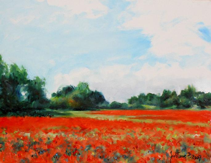 Le champs de coquelicots en Camargue - Philippe Juttens - Cliquer pour afficher en grand
